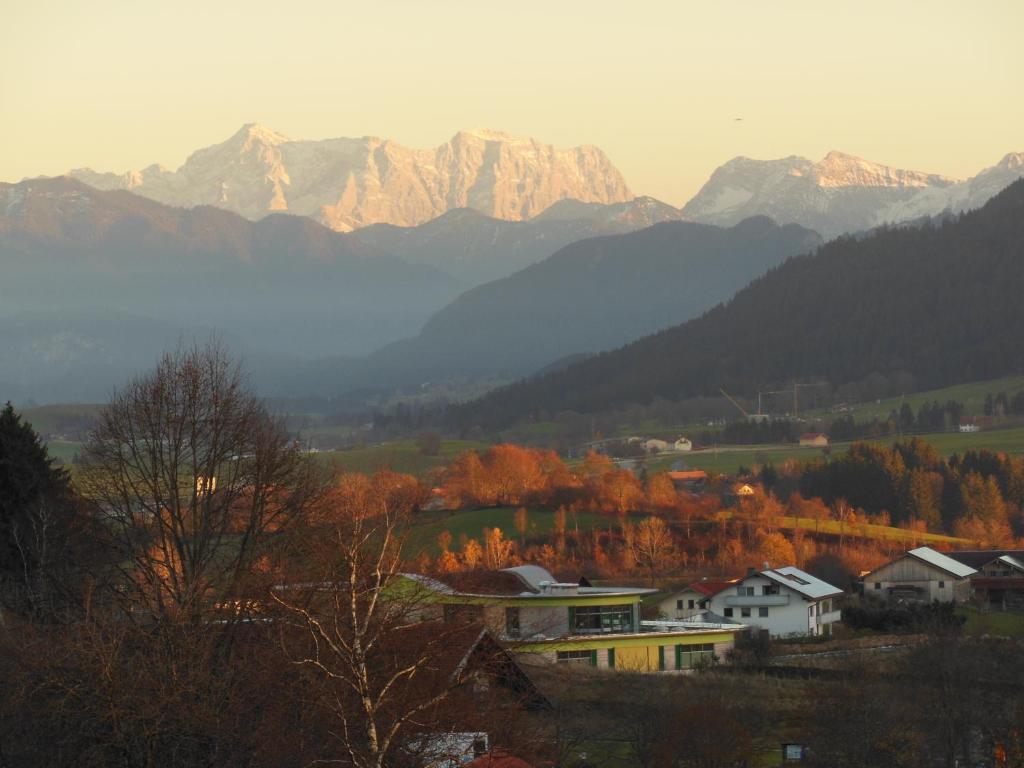Parkhotel Tannenhof Oy-Mittelberg Exterior foto